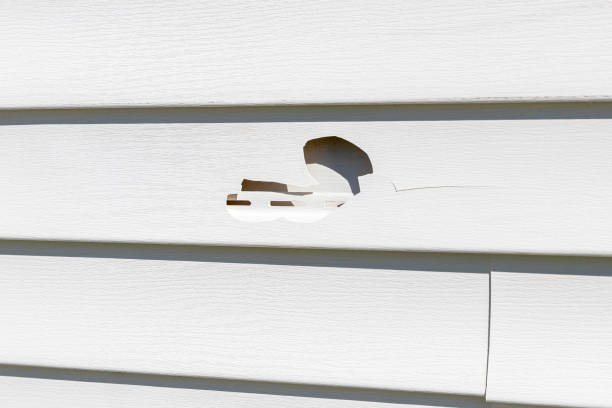 Siding Removal and Disposal in Douglass Hills, KY