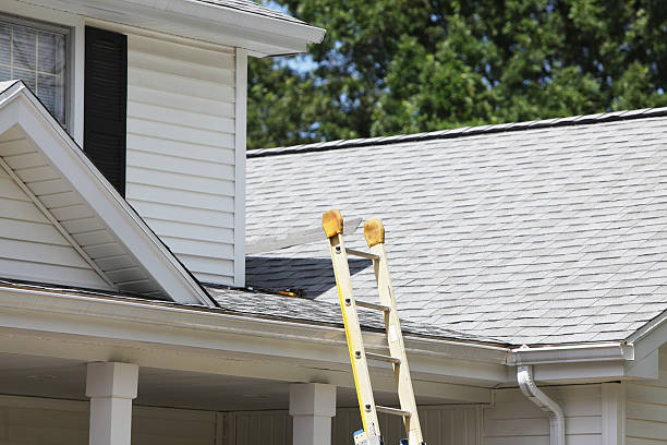 Best Historical Building Siding Restoration  in Douglass Hills, KY