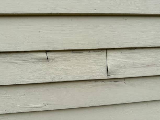 Best Engineered Wood Siding  in Douglass Hills, KY